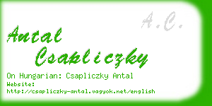 antal csapliczky business card